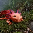 Bezaubernder Axolotl mit Gelenk, bedruckter Körper, einrastbarer Kopf, niedlicher Flexi