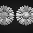 08.jpg Fleurs de marguerite bas relief modèle 3D