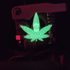 20230817_212231.jpg STL file Green Leaf Extruder Visualizer・3D printable model to download