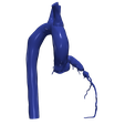 1.png 主动脉和冠状动脉 3D 模型 - 6 件装