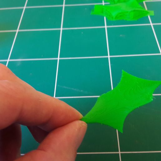 Holly leaf