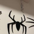 image.jpg Spider-Man (Tom Holand Homemade Suit) Spider Logo