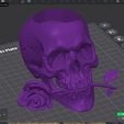 cvrsk.jpg Skull And Rose planter {sculpted