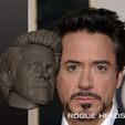 SIX_B0038AB5-680F-4CCB-9C7A-821F70E1EBAF.jpeg Robert Downey Jr. Tony Stark Ironman Endgame Custom Head