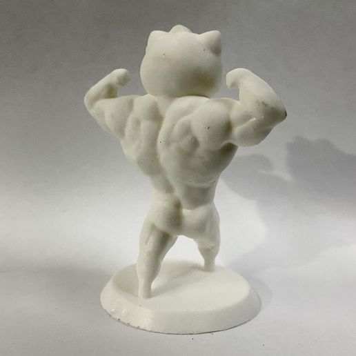 FD48DCBB-DF1A-4D6E-B354-36C4A90E41FF.jpeg Hello kitty swole body