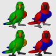 eclectus.jpg Eclectus