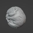 topillo2.jpg Baby, alien and vole embryos