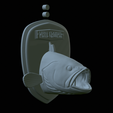 White-grouper-head-trophy-36.png fish head trophy white grouper / Epinephelus aeneus open mouth statue detailed texture for 3d printing
