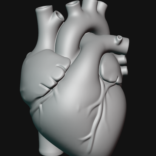Heart