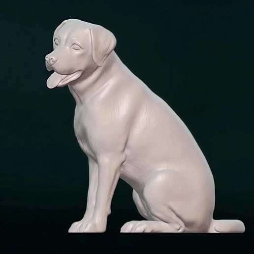 🗿 Labrador Retriever 3D Models - High-Poly STL for 3D Printing・ STL ...