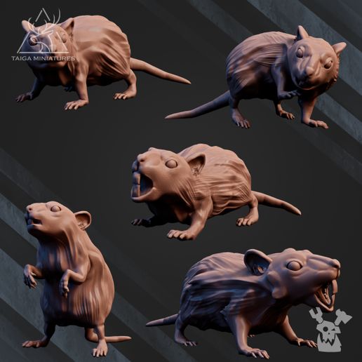 rats.jpg Archivo 3D Ratas de la cripta・Modelo para descargar e imprimir en 3D, DakkaDakkaStore