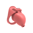 EasyCB04_RenderFile.33.png STL file EasyCB V4 - Customizable Chastity Cage・3D printing model to download