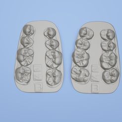 Model-B.jpg Download STL file Dental posterior quadrant model B • Template to 3D print, lablexter