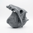 2.png Glyptodon Skull - Prehistoric Armored Mammal Fossil