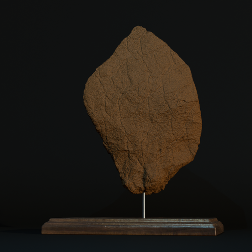 stego.png Plato de estegosaurio a tamaño real