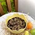 eggshell-seeds.jpg Easter flowerpot / Easter bowl -  Broken eggshell