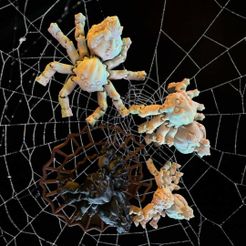 384159677_328237706392203_6293950116723876776_n.jpg STL file Pumpkin Spider・3D print object to download