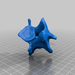 Neck_Vert_Cow.jpg STL-Datei Halswirbel kostenlos・3D-Drucker-Design zum herunterladen