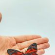 5.jpg Porta-chaves borboleta