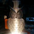 IMG_20180413_193131.jpg Owl LED Lamp