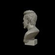 20.jpg Robert Downey 3D portrait sculpture