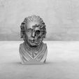 untitled.7.jpg Bust Albert Einstein Skull