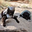 MANDO CAT - Helmet
