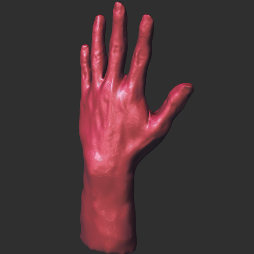 Autodesk Meshmixer - V3 modificada.mix 06_10_2020 10_48_55 p. m. (2).png 3d Hand