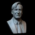 Saul02.jpg Archivo 3D Saul Goodman alias Jimmy McGill (Bob Odenkirk) de Breaking Bad y Better Call Saul・Objeto de impresión 3D para descargar