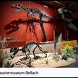 Schermafbeelding-2024-03-19-013028.png Lifesized Psittacosaurus skeleton