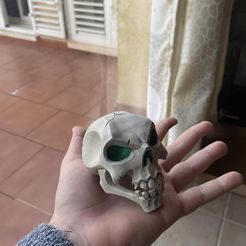 Crâne Sea of Thieves pour l'impression 3D