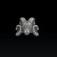 fd5sf45er5f3d2s4grt6e.jpg Aries Head Pendant 3D print model