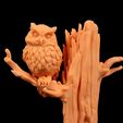 IMG_3993.jpg Owl on Tree