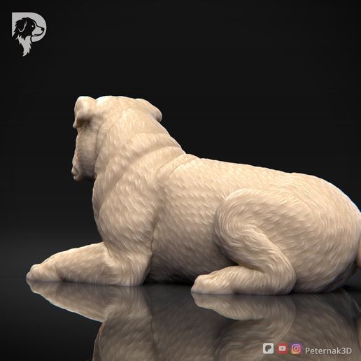 Bulldog-Pose-09-Dog-3D-Print-6s.jpeg Bulldog Dog 3D Print Model Pose 09
