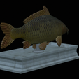 carp-statue-12.png fish carp / Cyprinus carpio statue detailed texture for 3d printing