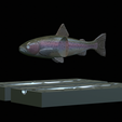 Am-bait-trout-breaking-16cm-5mm-oci-13mm-nalev.png AM bait fish rainbow trout 16cm breaking model / form for predator fishing