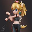 10.jpg PRINCESS BOWSETTE