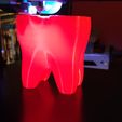 Toothbrush Holder Tooth
