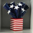 IMG20230401161233.jpg Stars and Stipes. US Flag sculpture/decoration