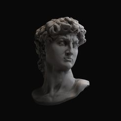 David1.jpg STL file David of Michelangelo・3D printing idea to download