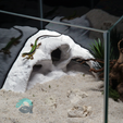 BreezeStone-Cave-3d-printed-by-Aquireef3D-aquarium-terrarium-use.png 3D Printable Cave, Pet Shelter for Aquariums & Terrariums: Fish, Shrimp, Reptile, Spider and Bug Hide, Small Rock Form Tank Decor