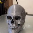 SKULPRINT12.jpg 3D Skull