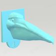 bec ocell piscivor.jpg Birds and their feeding. 3D bird didactic. English language.