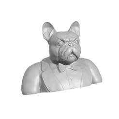 bulldog-tooth.png STL file Gentleman French Bulldog half body with protruding tooth.・3D printing idea to download