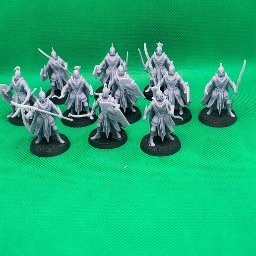 1000008923.jpg Escuadra de Elfos Nobles