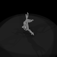 camera007.png Acrobat Female Dynamic Pose
