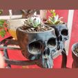 IMG_20210413_204204_344.jpg Free STL file skull plantpot・3D printing idea to download