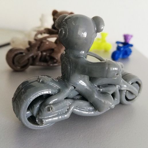 photo3.jpg Teddy bear biker