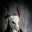 IMG_4978.jpg Elias Ainsworth Mask | The Ancient Magus' Bride Mask