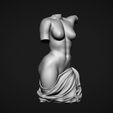 14.jpg Female Torso 3D Model